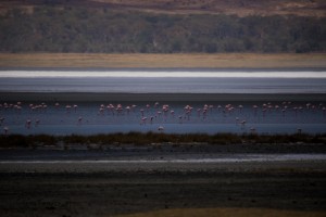  DSC8494-2  
